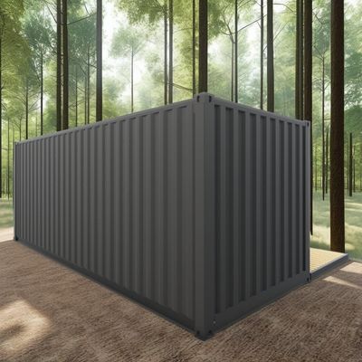 20ft 로그 환경 친화적 평면 팩 컨테이너 하우스 사전 제조 지속 가능한 건설 철강 구조 탄력성 비 바람 눈 가게