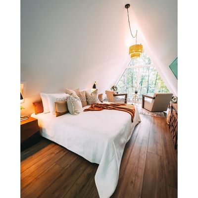 강철 구조 삼각 목조 주택