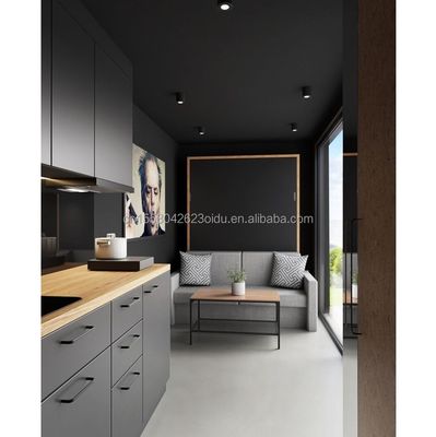 현대 디자인 20ft/40ft 고급 제조 주택 사전 제조 운송 컨테이너 가정 주택 EU 휴대용 20ft 확장 가능한 집