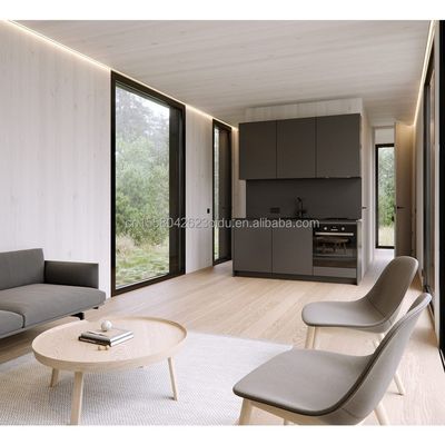 EU 현대 20ft 빠른 조립 목조 주택 컨테이너 호텔 사무실용 상점 사용자 정의 색상