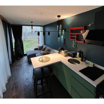맞춤형 색상 40ft LOFT 가족 스타일 모빌 하우스 전공 철강 구조와 나무 외벽